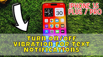 iPhone 15/Pro/Plus Turn On/Off Vibration For Text Notifications