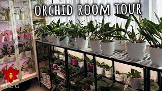 Orchid Room Tour  Autumn 2023  Lots of New Setups to try!