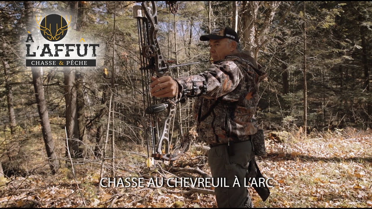 chasse à l'arc - chasse arc - treestand - affut arc - chasse