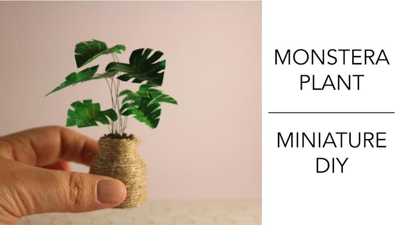 DIY Miniature Tutorial - Monstera Plant