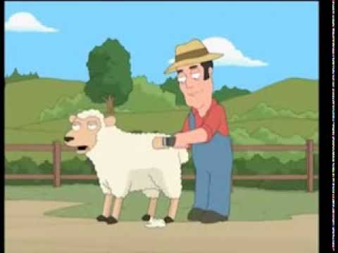 man fucking sheep video bollywood actress sucking cock pics