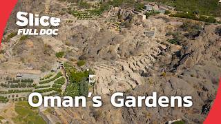 Oman’s Hanging Gardens: Life in the Oases of Jebel Akhdar | FULL DOCUMENTARY