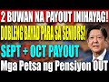 "PANSIN MGA SENIOR! SOCIAL PENSION PAYOUT UPDATE – SEPT And OCT 2025 SCHEDULE NALANTAD, ALAMIN!"