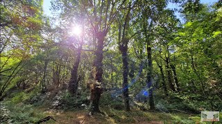 SENDERISMO EN LAS FRAGAS DE CATASOS -- LALÍN (GALICIA)