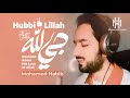 Mohamed Habib Hubi Lillah حبي لله محمد حبيب Official Video 