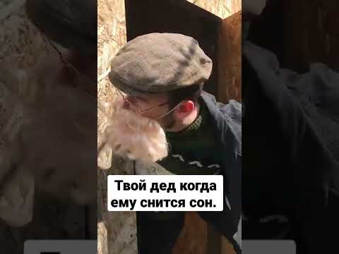 Твой дед когда ему снится сон #shorts - YouTube