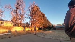 Famous How to drop a 40ft pine tree in 2 seconds! Net Worth