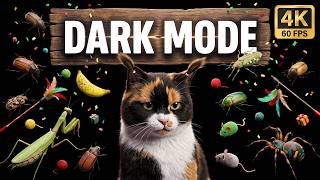 Dark Mode Cat Games: Soft Light & Eye-Friendly (8 Hours 4K) #50 screenshot 3