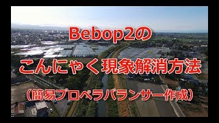 【ドローン】Bebop2のこんにゃく現象解消方法（簡易プロペラバランサー作成）