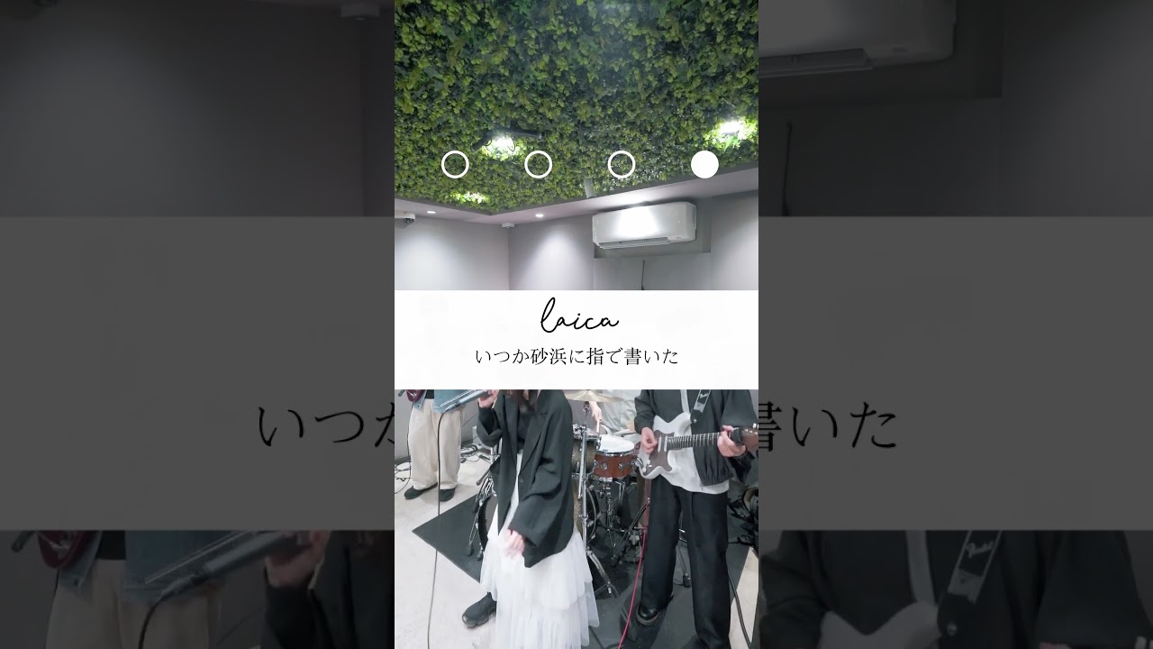 ライブではみんなで手拍子⚡️#Laica#邦ロック #オリジナル曲 #fyp