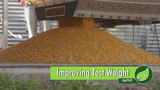 Improving Test Weight #1036 (Air Date 2-11-18)