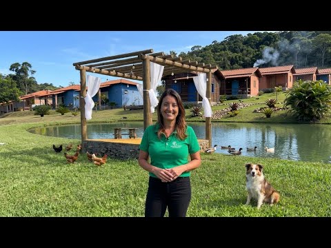 TIRED OF THE CITY, SHE QUIT HER JOB AND BUILT A CHALET IN THE COUNTRYSIDE FOR 35 THOUSAND