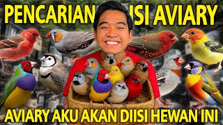 Download Lagu PENCARIAN ISI AVIARY! AVIARY AKU AKAN DIISI HEWAN INI! TERNYATA FINCH SEMENARIK INI! SEMPAK FINCH! MP3