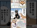 #shorts #short #shortvideo #世界の終わりに柴犬と #ハスキー #柴犬 #黒柴 #ショート #イベント #柴犬のいる暮らし #ドーベルマン