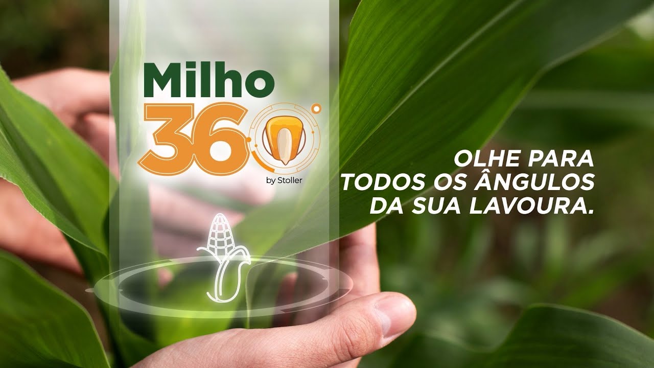 Milho 360º - Olhe para todos os ângulos da sua lavoura.