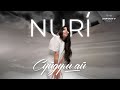 NURI Сүйдүм ай Жаңы ыр