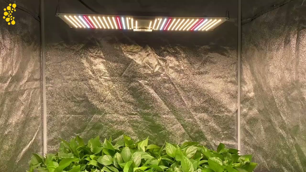 QII 240W Quantum Board Full Spectrum LED Grow Light