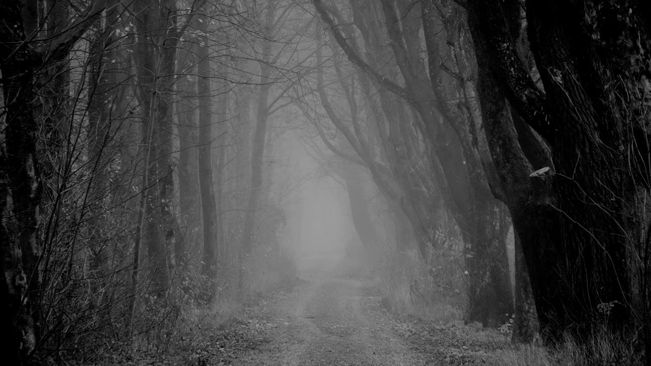 "Jungle (92 bpm, Cm)" [FREE] Divine/Naezy Type Hard Rap Beat 2020 | Hiphop Type Beat/Instrumental