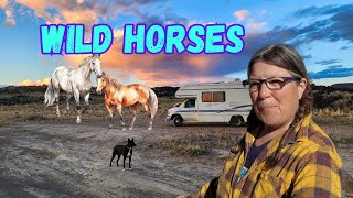 More RV Repairs, Wild Horses and Visiting a Renaissance Village in Ely, NV