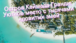 Остров Кеймада-Гранди: Уютное место с тысячами ядовитых змей