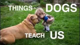 What Do Dogs Teach Us? (The Animal Rescue Site)