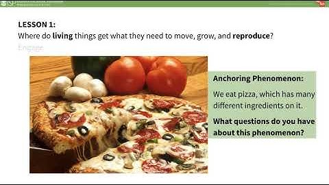 mySci 6 0 U21L1 Summary