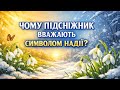 ЯК З ЯВИЛИСЯ ПІДСНІЖНИКИ 