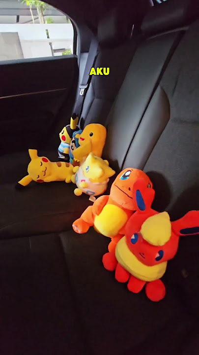 SETIAP KALI PERGI NAIK MOBIL ISTRI!
