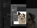 How to use clone source flip horizontal #shorts #photoshop #photography #editing