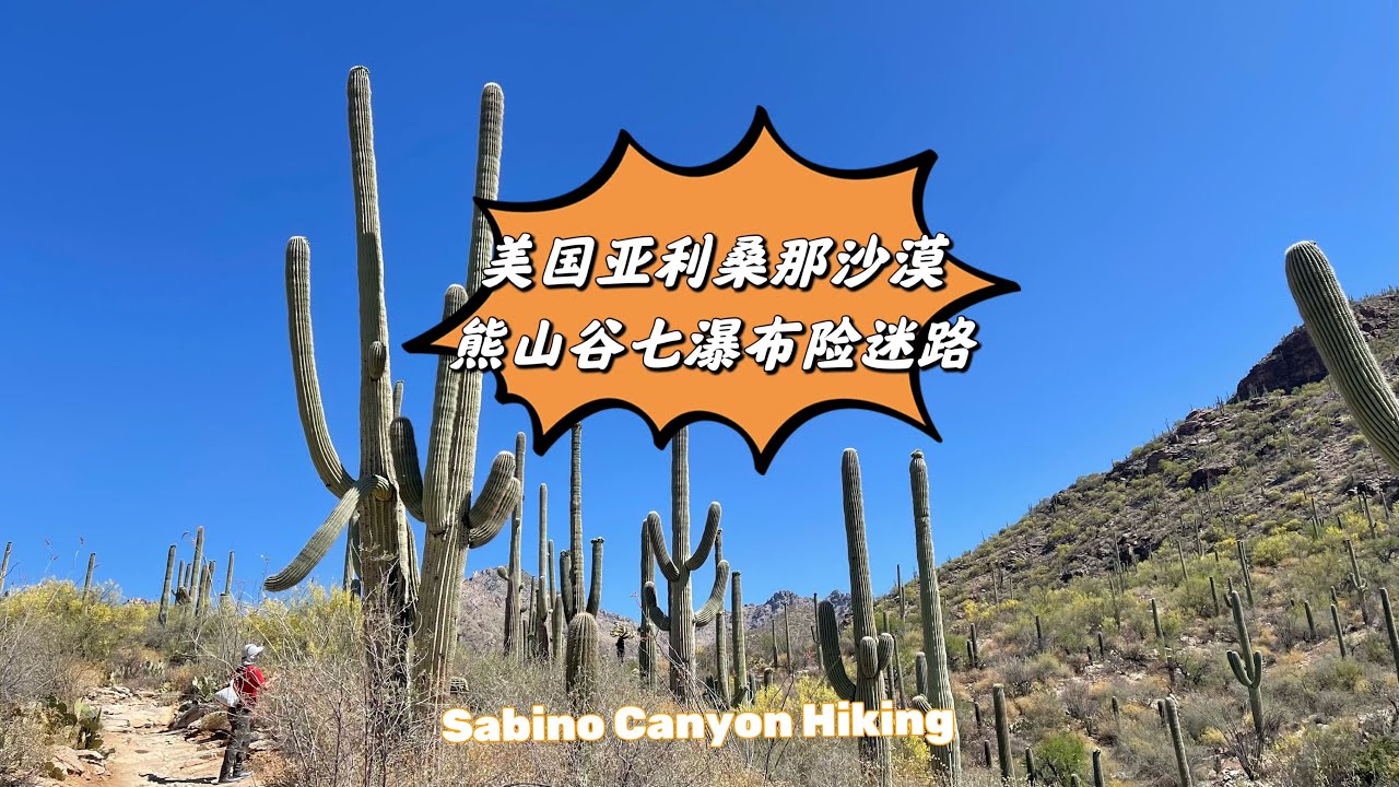 Sabino Canyon Recreation Area美国亚利桑那沙漠熊山谷七瀑布险徒步 YouTube