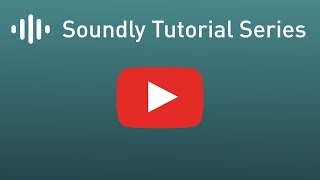 Soundly Tutorial #9 - Drag & Drop - Spotting