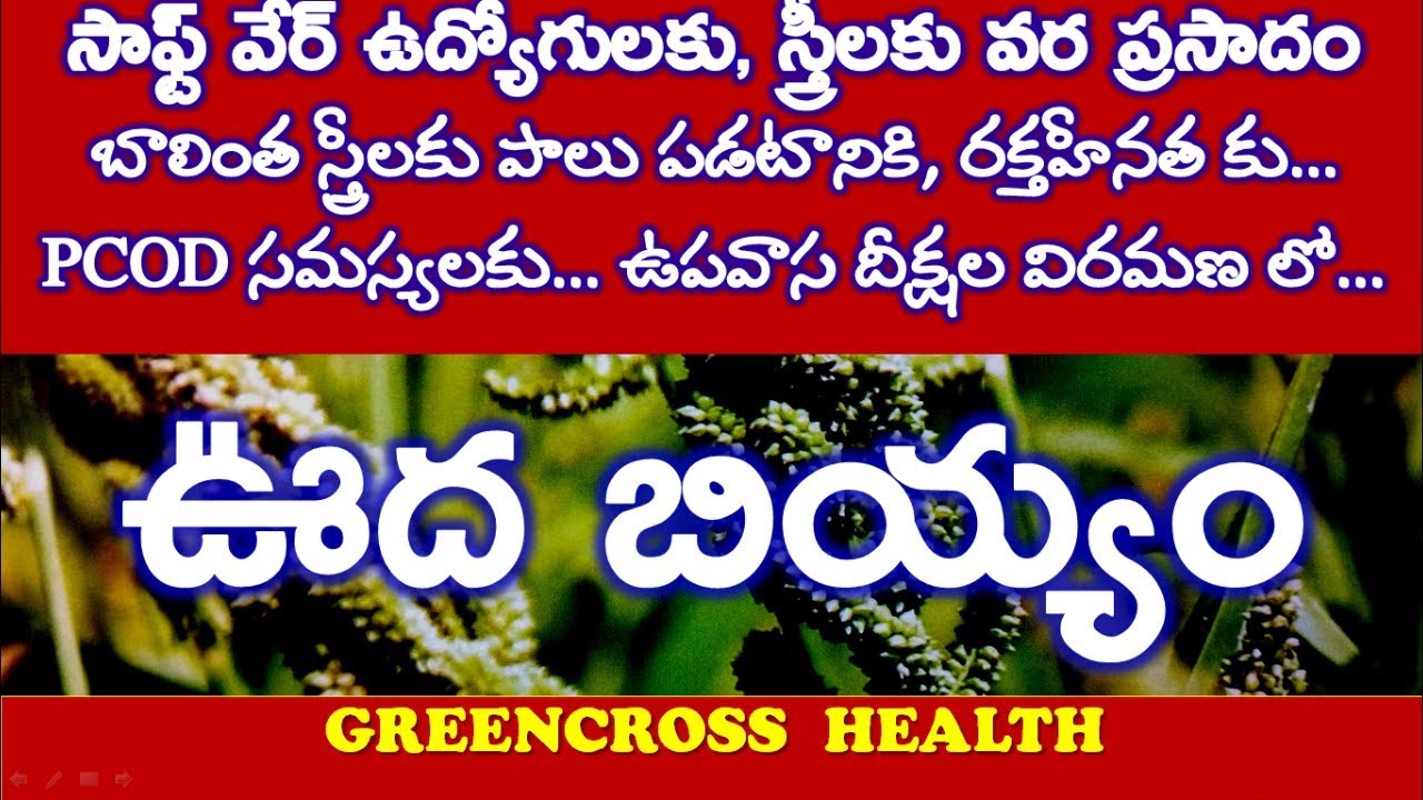 health tips in teluguoodaluఊదలుbard yard milletmilletsgreencross