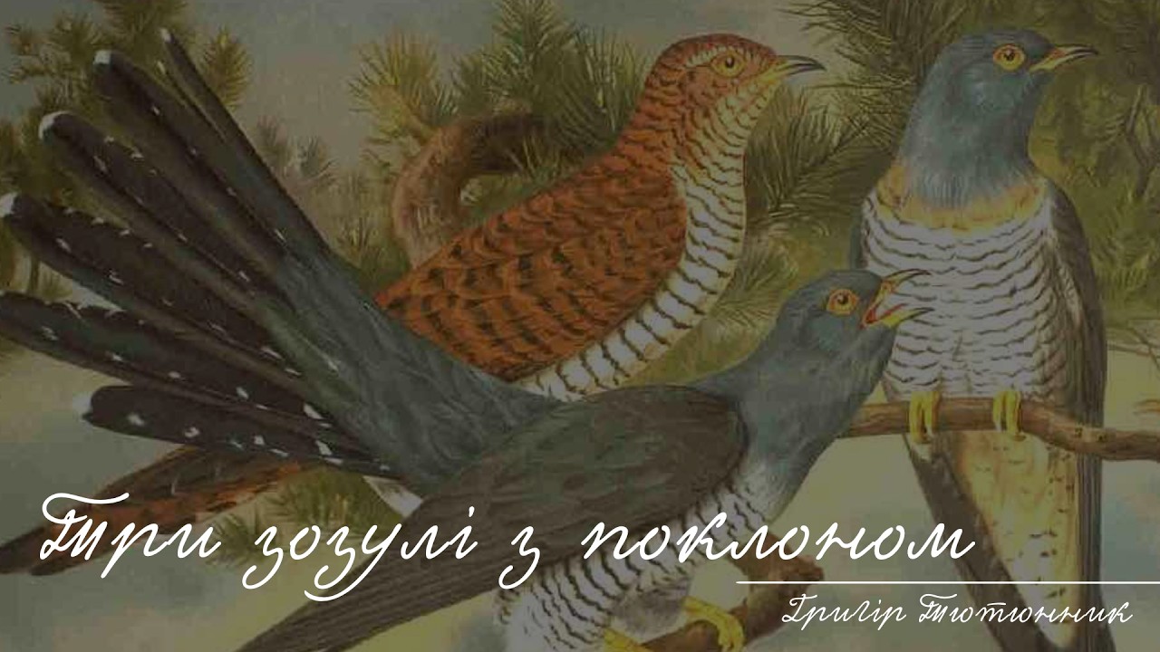 Григір Тютюнник - Три зозулі з поклоном (аудіокнига повністю)