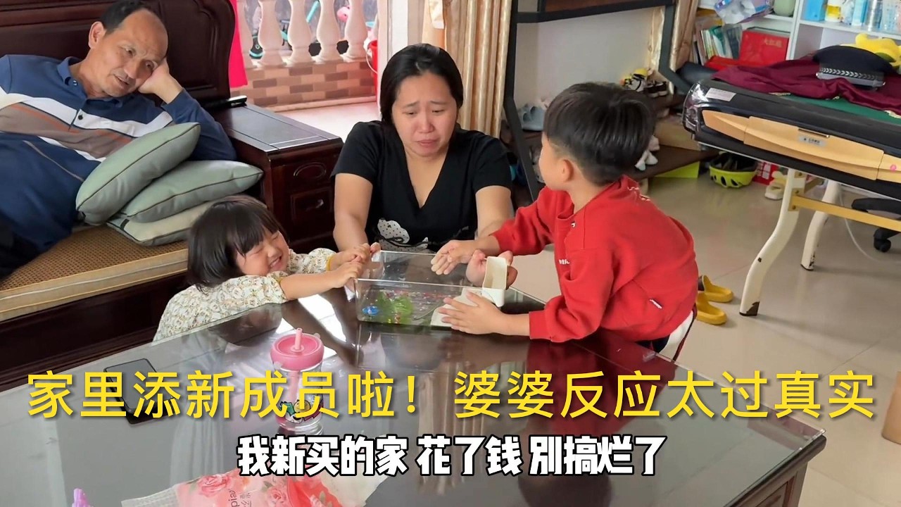 家里添新成员啦！婆婆反应太过真实，儿子女儿高兴的合不拢嘴 - YouTube