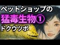 【猛毒】ペットショップの猛毒生物①ドクウツボ【イラスト】