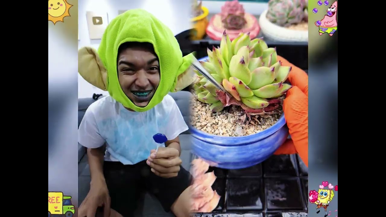 2026 pov Must-Watch Crazy Clips Compilation 