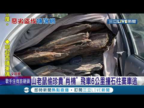 山老鼠偷珍貴"肖楠"！警方一路鳴笛追6公里 竊賊自撞石柱棄車拔腿狂奔 時隔2星期又因另一起通緝案被逮捕！│記者賴碧香 蔡文淵│【LIVE大現場】20211113│三立新聞台