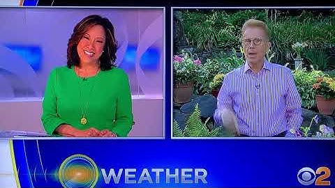 Touchless Xerox Gabi Voice on CBS, QDoxs