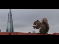 Breakfast with a VIEW | BEST View in LONDON