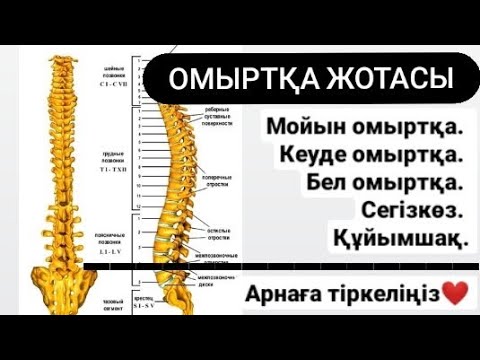 Орыс бисексуалы мойынқозы Орыс бисексуалы мойынқозы