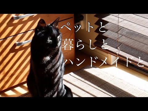 【vlog】ペットと暮らしとハンドメイドと【手作りを楽しむ暮らし】