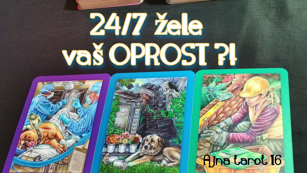 U MISLIMA ste im 24/7 jer žele vaš OPROST?! Zašto? / generalno LJ.T.Č. / KOLEKTIVNO / bezvremeno