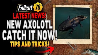 New Axolotl Just Released + What Is Happening In Fallout 76 This Week!