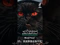 China AI Video | Persian Cats vs White Eagles | Digital Propaganda War  - #shorts