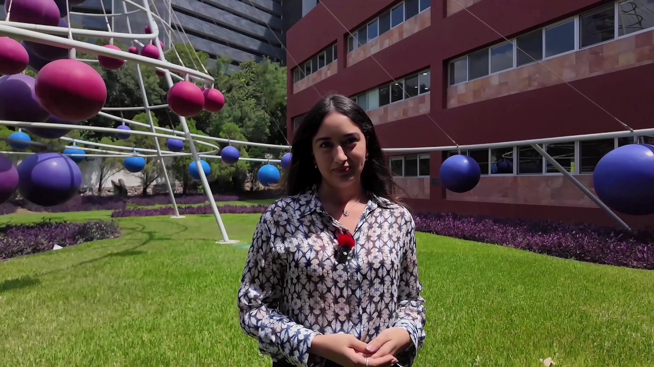 Video-Entrevista-Regina-de-Lira-FLDM-Fulbright
