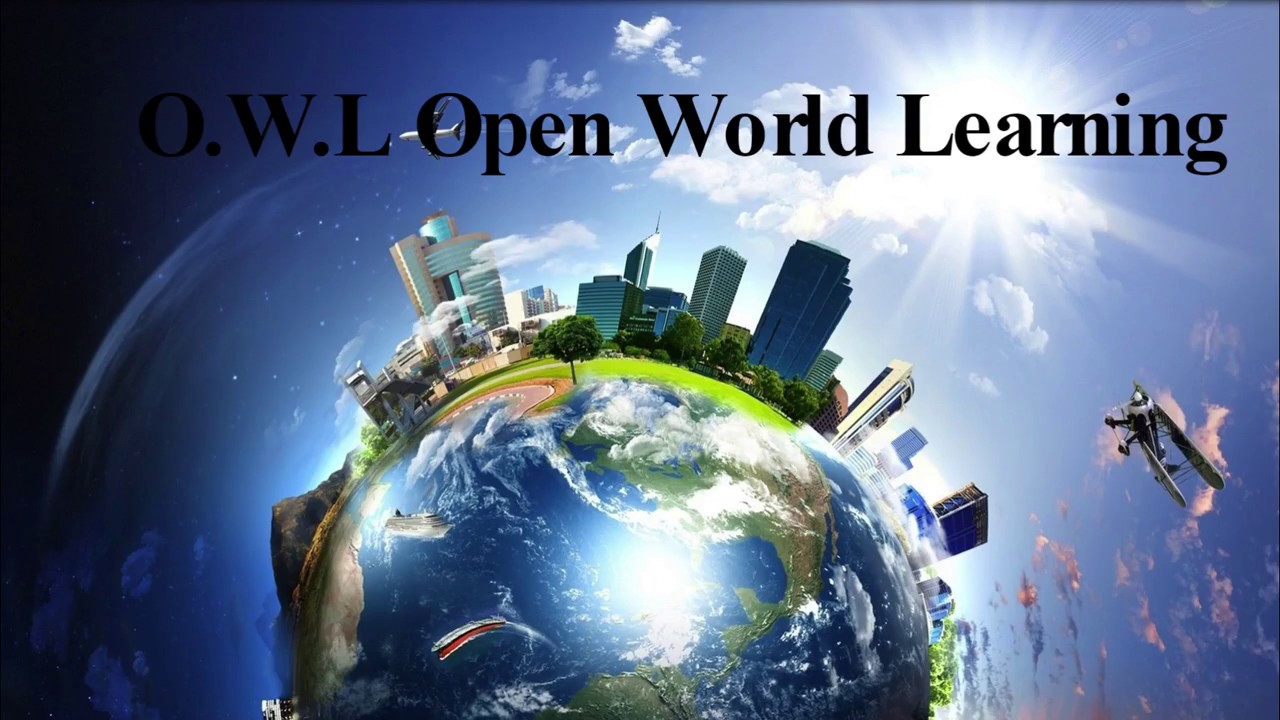 Open World Learning - Roberta Lynn Bondar