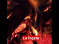 fogata en camping