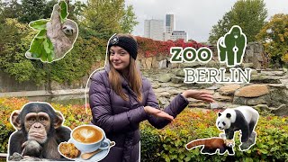 Самый большой зоопарк в Европе/ Один день в Берлинском зоопарке