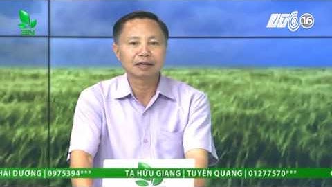 Xử lý thế nào khi cá nuôi trong ao bị thiếu Oxy?