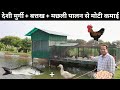         desi poultry farming  fish farming  duck farming
